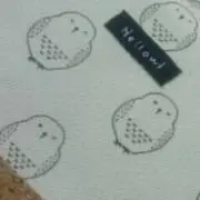 あるんの画像