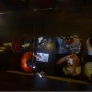 舜聖の画像