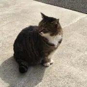 keの画像