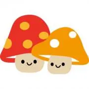 きのこの画像