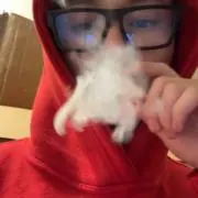 @の画像