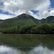 Sakuramomの画像