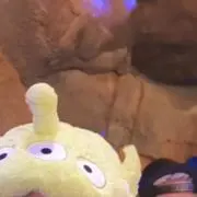 Saの画像