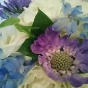 いろは（プロフ必読お願いします）の画像