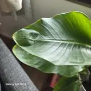 1358ioiの画像