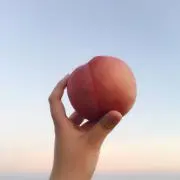 よしか
