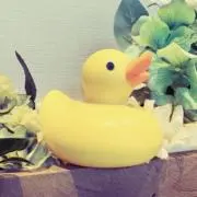 めかぶの画像