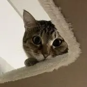 よすん