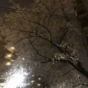 清