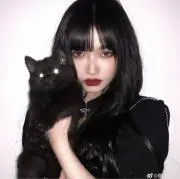 にゃんの画像