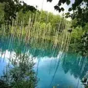 北海道/なるべく丁寧に。の画像