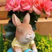よっちゃん