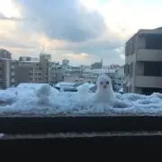 kooaの画像