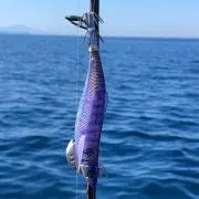 sephiaの画像