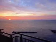 tataの画像