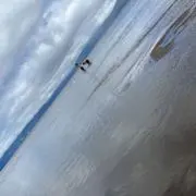 aaaa