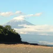 E Tの画像
