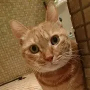 みいの画像
