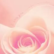 Uプロフ必読