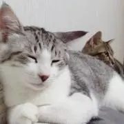 R ※プロフ必読の画像