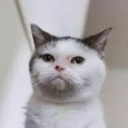 しーまろん