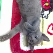 KK..＊プロフ一読お願い致します＊・゜