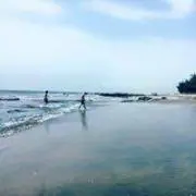 Soの画像