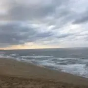 シリコスの画像