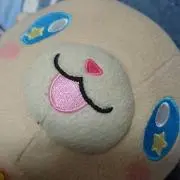 ぽんズの画像