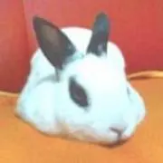 pegu