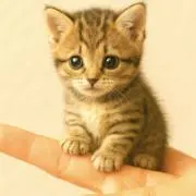 るいここの画像
