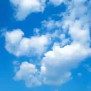 Rinの画像