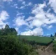 Fatimaの画像