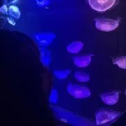 ぴょん汰~断捨離中~の画像