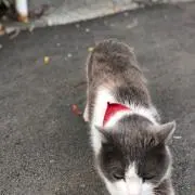 tadakuniの画像