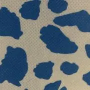 sha.tee-naの画像