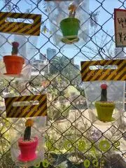 ヤオコの画像