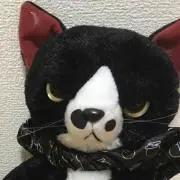 またたびの画像