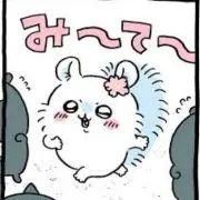 うちゃんの画像