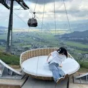 まみの画像