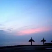 TAEの画像