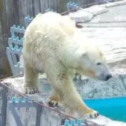 ほしの。の画像