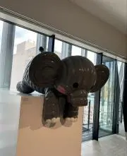 ころころの画像