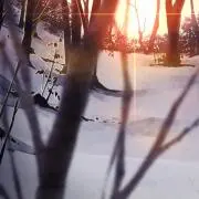 柚月の画像