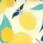 レモンの画像