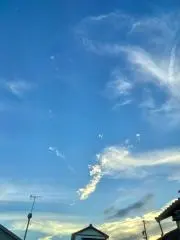 コメントなし即購入.交渉中横取り購入OKの画像