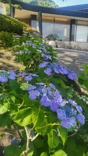 かりな*まとめての購入でお値下げ可能ですの画像