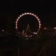 みーこの画像