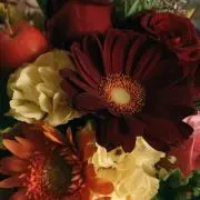花影