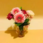 おちび